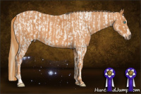 Horse Color:White Spotted Perlino Sabino  Brindle