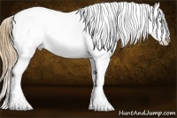 Horse Color:Chestnut Pearl Sabino Tobiano Appaloosa
