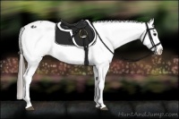 Horse Color:Black Varnish Rabicano 