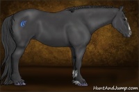 Horse Color:Smoky Black Sabino
