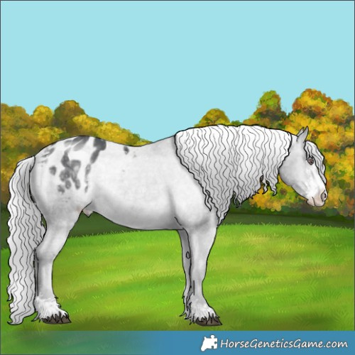 Horse Color:Silver Black Chinchilla Sabino Blanket Rabicano