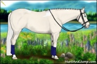 Horse Color:Silver Perlino Dun Tobiano