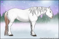 Horse Color:Brown Tobiano Appaloosa  Brindle