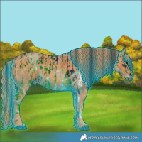 Horse Color:ERROR: UNKNOWN ANOMALY Brindle