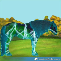 Horse Color:ERROR: UNKNOWN ANOMALY Brindle