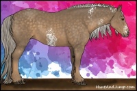 Horse Color:White Spotted Chocolate Palomino Sabino Rabicano