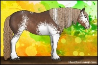 Horse Color:White Spotted Liver Chestnut Rabicano 
