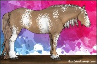 Horse Color:White Spotted Chocolate Palomino Rabicano