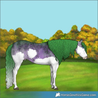 Horse Color:Watercolor Brown Ice Splash 