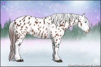 Horse Color:Brown Frame Appaloosa  Brindle