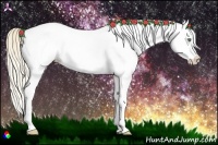 Horse Color:White Spotted Gold Cream Champagne Splash 