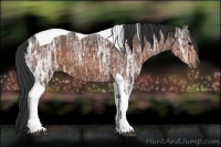 Horse Color:Bay Ice Tobiano 