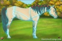 Horse Color:Thunderstruck Amber Champagne Dun 