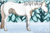 Horse Color:Chestnut Ice Splash Tobiano 