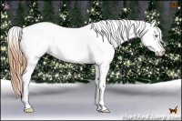 Horse Color:White Spotted Bay Pearl Dun Splash Appaloosa Rabicano
