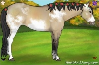Horse Color:White Spotted Bay Dun Sabino Frame
