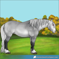 Horse Color:Silver Brown Chinchilla  Brindle