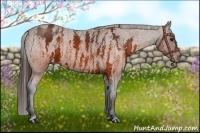 Horse Color:Brown Roan Varnish  Brindle