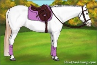 Horse Color:Buckskin Blanket Brindle