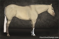 Horse Color:Silver Buckskin Dun