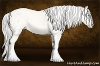 Horse Color:Silver Perlino Dun 