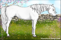 Horse Color:Gray Bay 