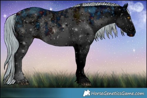 Horse Color:ERROR: UNKNOWN ANOMALY