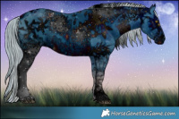 Horse Color:ERROR: UNKNOWN ANOMALY