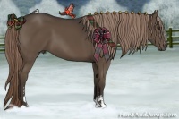 Horse Color:Liver Chestnut Sabino 