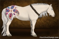Horse Color:Cremello 