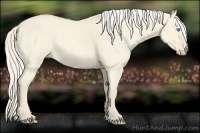 Horse Color:Cremello Dun 
