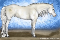 Horse Color:Chocolate Palomino Pearl Splash