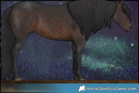 Horse Color:Brown 