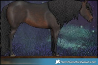 Horse Color:Brown 