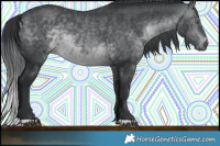 Horse Color:Brown Chinchilla