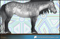 Horse Color:Brown Chinchilla 