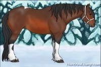 Horse Color:Bay Tobiano Rabicano 