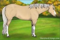 Horse Color:Silver Buckskin 
