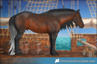 Horse Color:Brown Rabicano