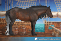 Horse Color:Brown Rabicano 