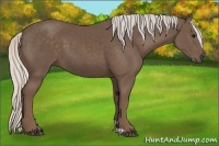 Horse Color:Silver Black 