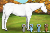 Horse Color:Gray Bay 
