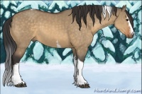 Horse Color:White Spotted Buckskin Dun Tobiano