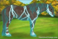 Horse Color:Thunderstruck Liver Chestnut 