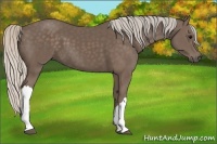 Horse Color:Silver Black 