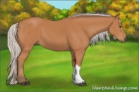 Horse Color:Silver Bay 