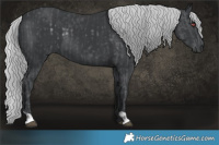 Horse Color:Silver Black Chinchilla and Silver Black Chinchilla