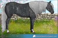 Horse Color:Silver Black Chinchilla  and Silver Black Chinchilla 