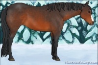 Horse Color:Brown 