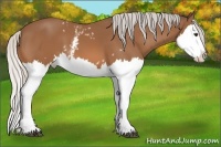 Horse Color:White Spotted Silver Bay Splash 